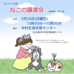 ねこの譲渡会