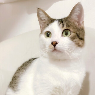 奄美から来ました✨食いしん坊の塩顔イケメン