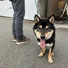 の写真