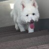 の写真
