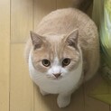 1歳8ヶ月の男の子 るるです。