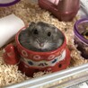 砂まみれ