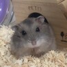 傾げ顔