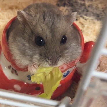 ご飯もらえたね