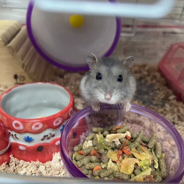 おやつまち