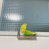 の写真