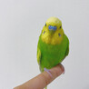 の写真