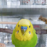 の写真