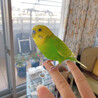 の写真