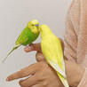 の写真