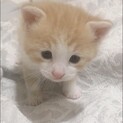すぐ寄ってくる懐っこい1か月