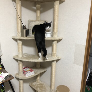 の写真