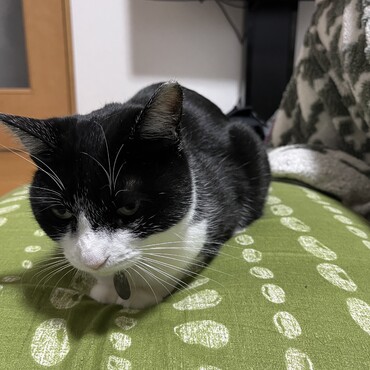 の写真
