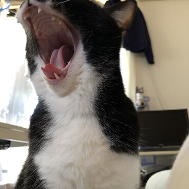 の写真