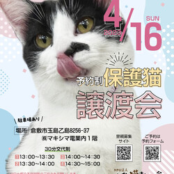 ほごねこ譲渡会（予約制）