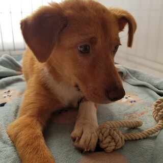 調整中のため一旦ストップさせていただきます。