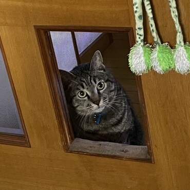 ベルクくん元気になったかなぁー