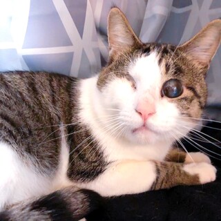 交通事故に遭い奇跡的に助かったディン君