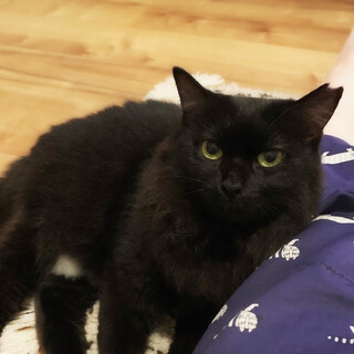 膝乗り大好き✨奄美からきたおっとり甘えん坊の美少女