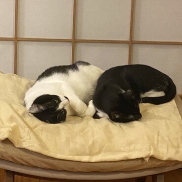 の写真