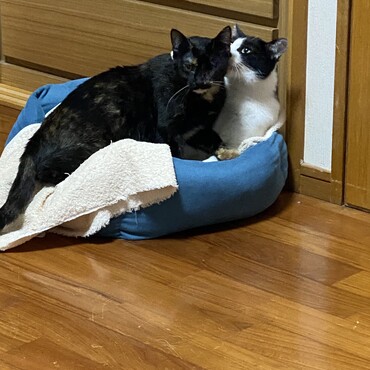 の写真