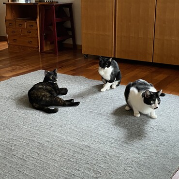 の写真