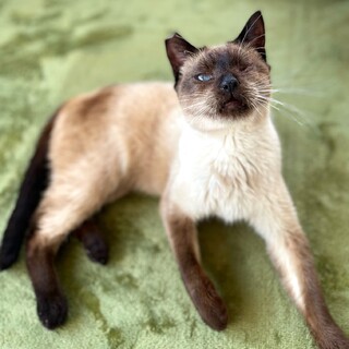 【2/11東銀座】不思議くん8歳♪