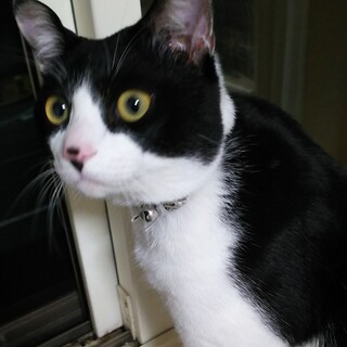 ハンサムな少年です！