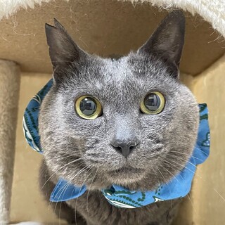 【3/26東銀座】アースくん3-4歳♪