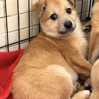 ありがとうございました！