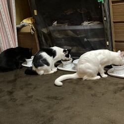 「穏やかな一日」サムネイル1