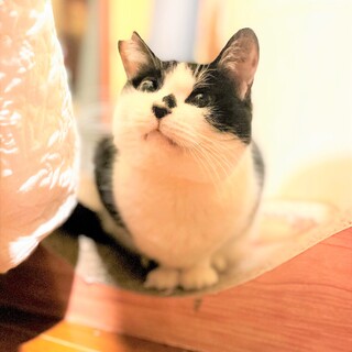 まこちゃん、喪失を乗り越えた先で