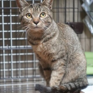 マイペース☆メグちゃん