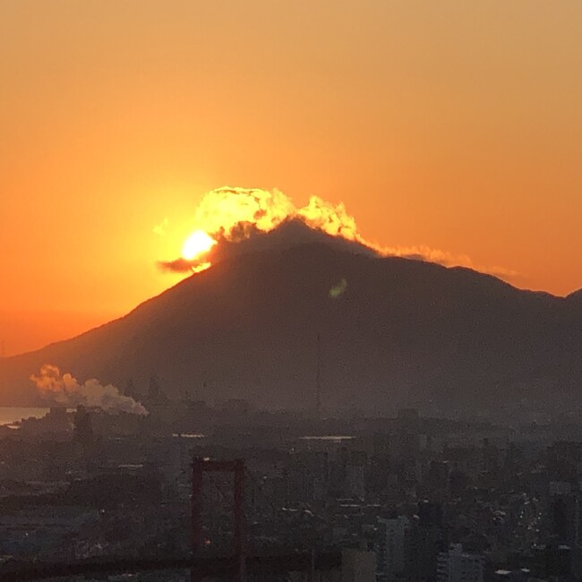 mayonakamynkのカバー写真