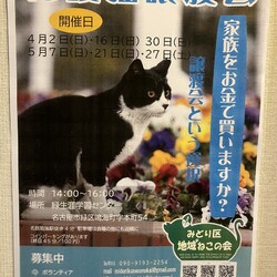 名古屋市緑区猫の譲渡会
