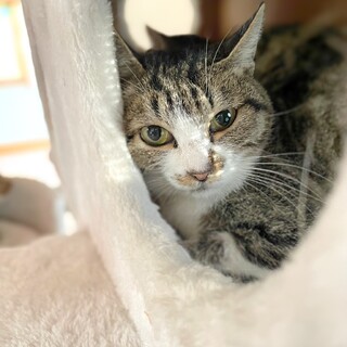 3兄妹を育てたやさしいお母さん、さゆりちゃん♡