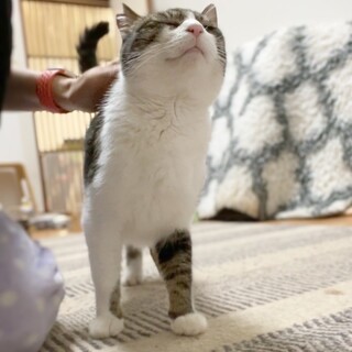 生涯のパートナーに♡愛情表現豊かなスズナちゃん