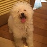 の写真