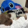 の写真