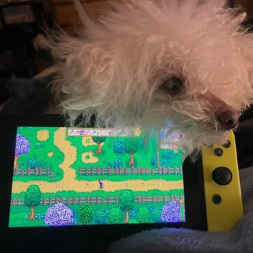 の写真