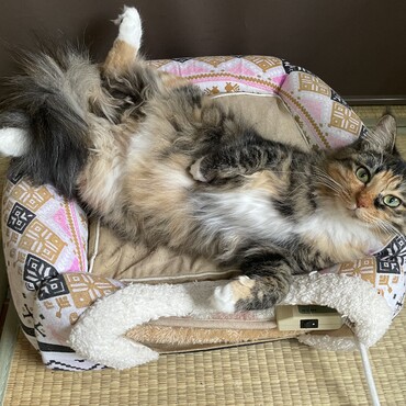 体重が５KGを超えました。