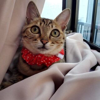 たくさんの事を乗り越えてきたスゴい子さえちゃん❤️