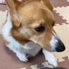 すねています
