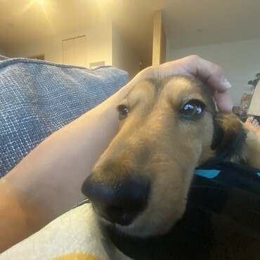 の写真