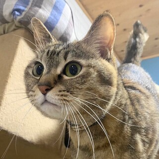 おっとりな甘えん坊♡のんのん