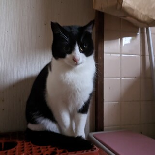 可愛がってくれる方探してます！