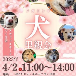 MEGAドン・キホーテつくば店里親会 サムネイル1