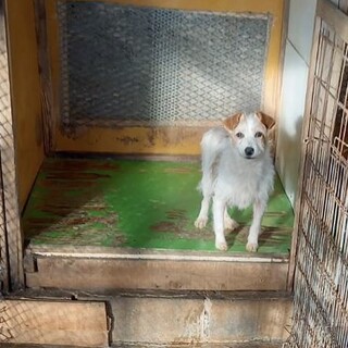 ☆闘病中の為、一旦募集停止いたします☆