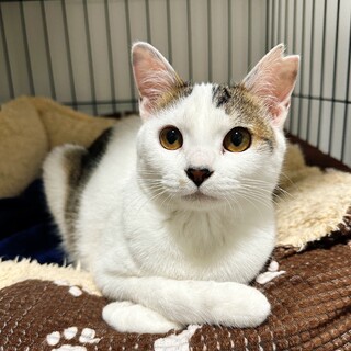 6/25稲毛海岸ෆ⃛甘えん坊女子ෆ⃛ルルちゃん