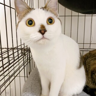 6/25稲毛海岸ෆ⃛抱っこ大好きෆ⃛ララちゃん